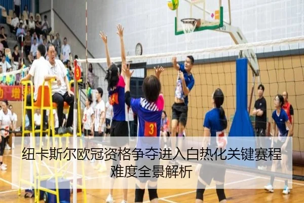 纽卡斯尔欧冠资格争夺进入白热化关键赛程难度全景解析